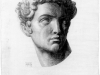 Classic Greek Head